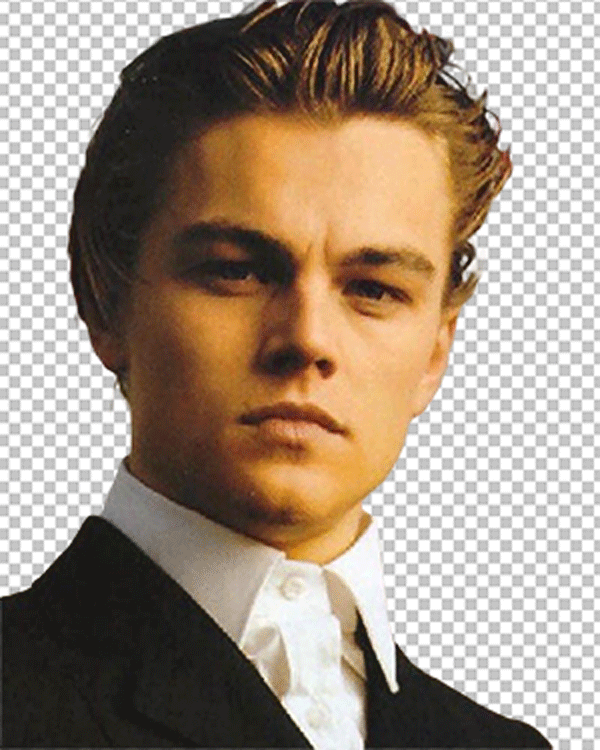 Leonardo DiCaprio handsome png image