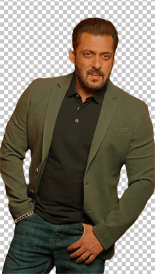 Salman Khan wearing olive green suit png image