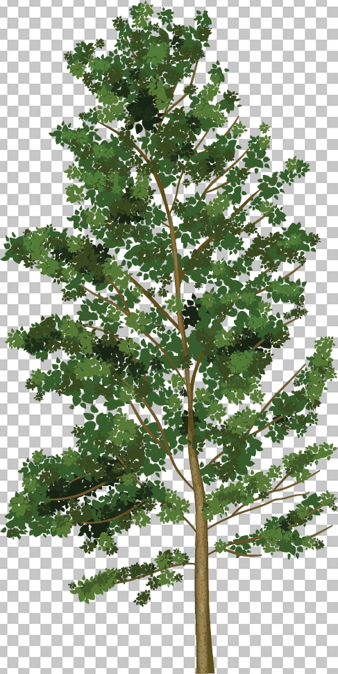 tree vector png image
