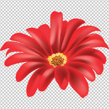 Red flower png image