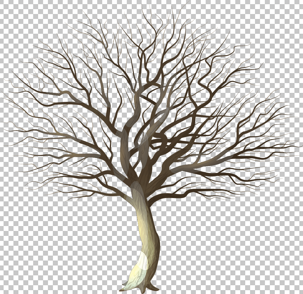 dry tree png image