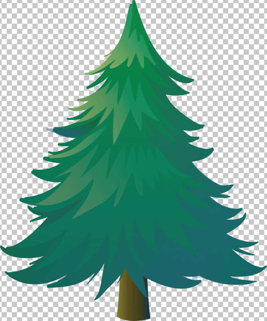 pine tree png image