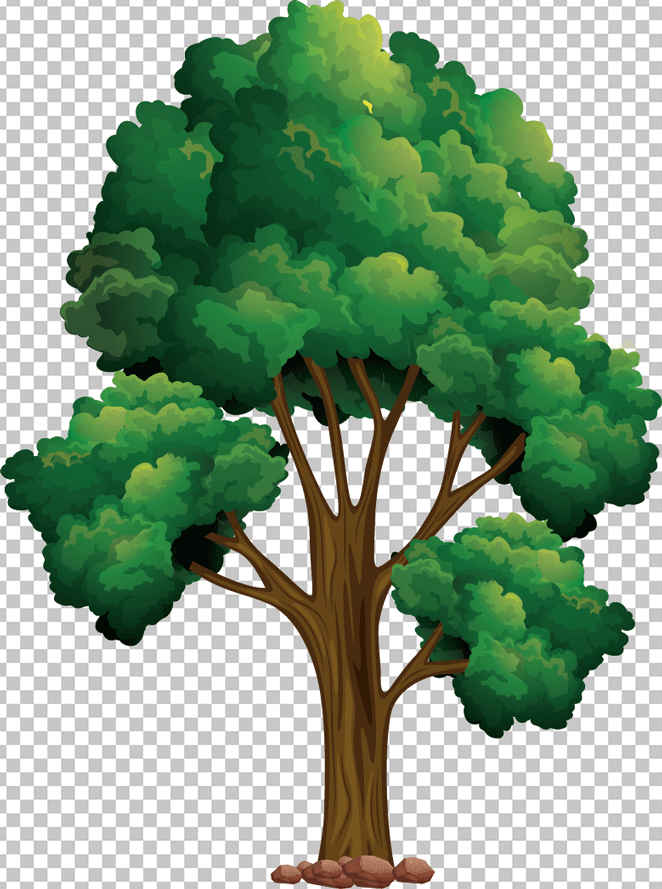 Tree png image