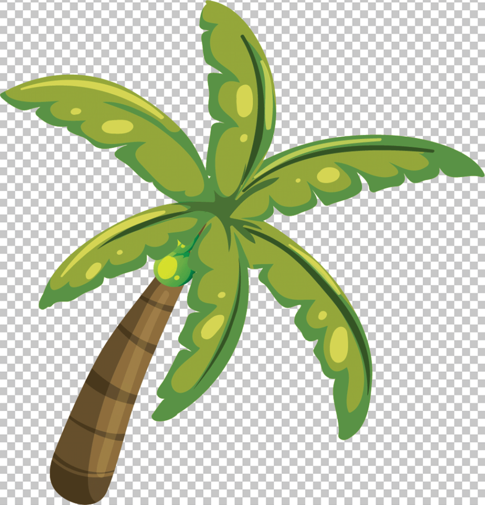 Coconot tree png image