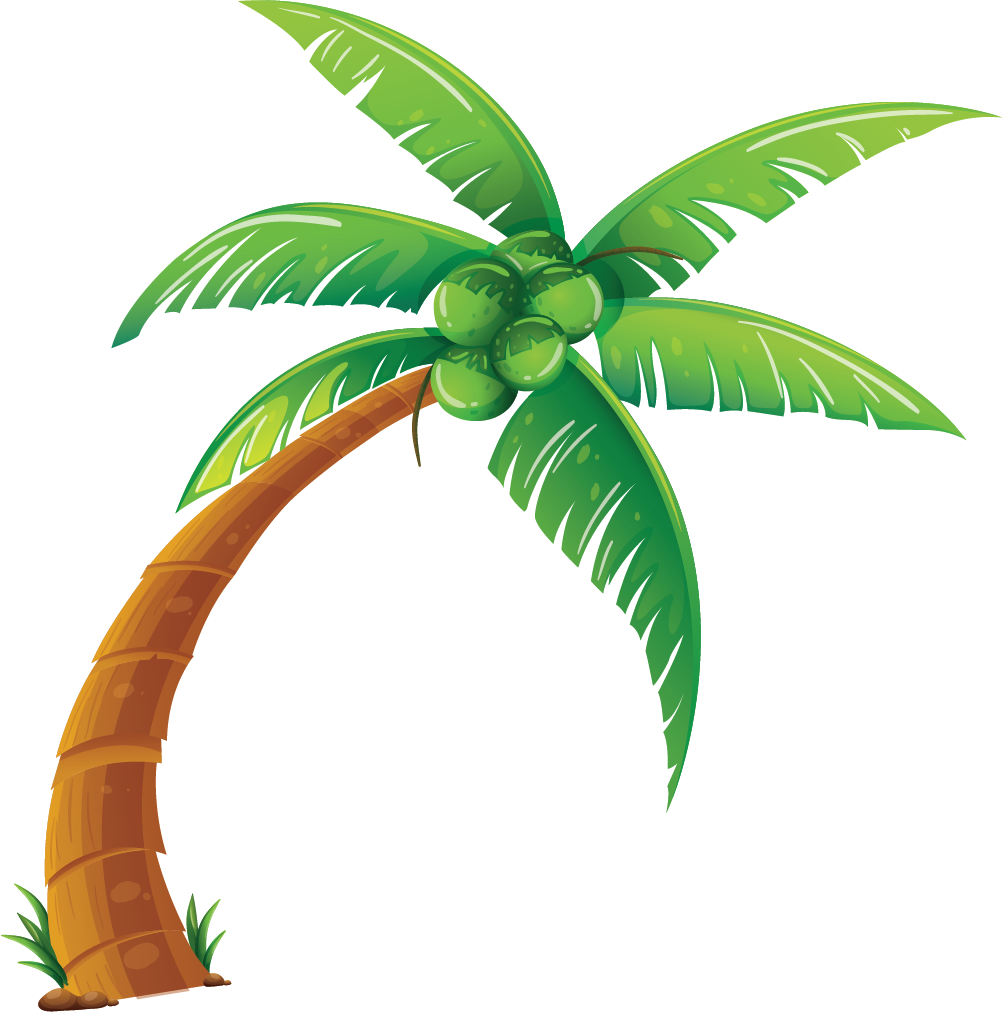 Coconut tree png image | OngPng