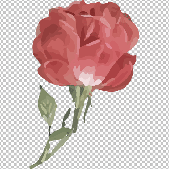 Rose watercolor flower png image