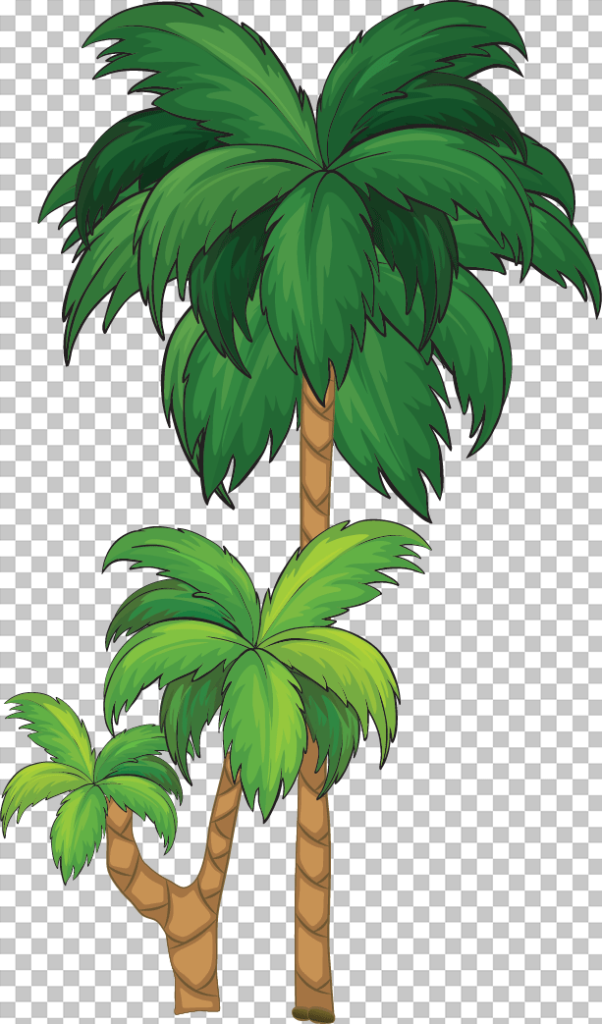 Coconut trees png image
