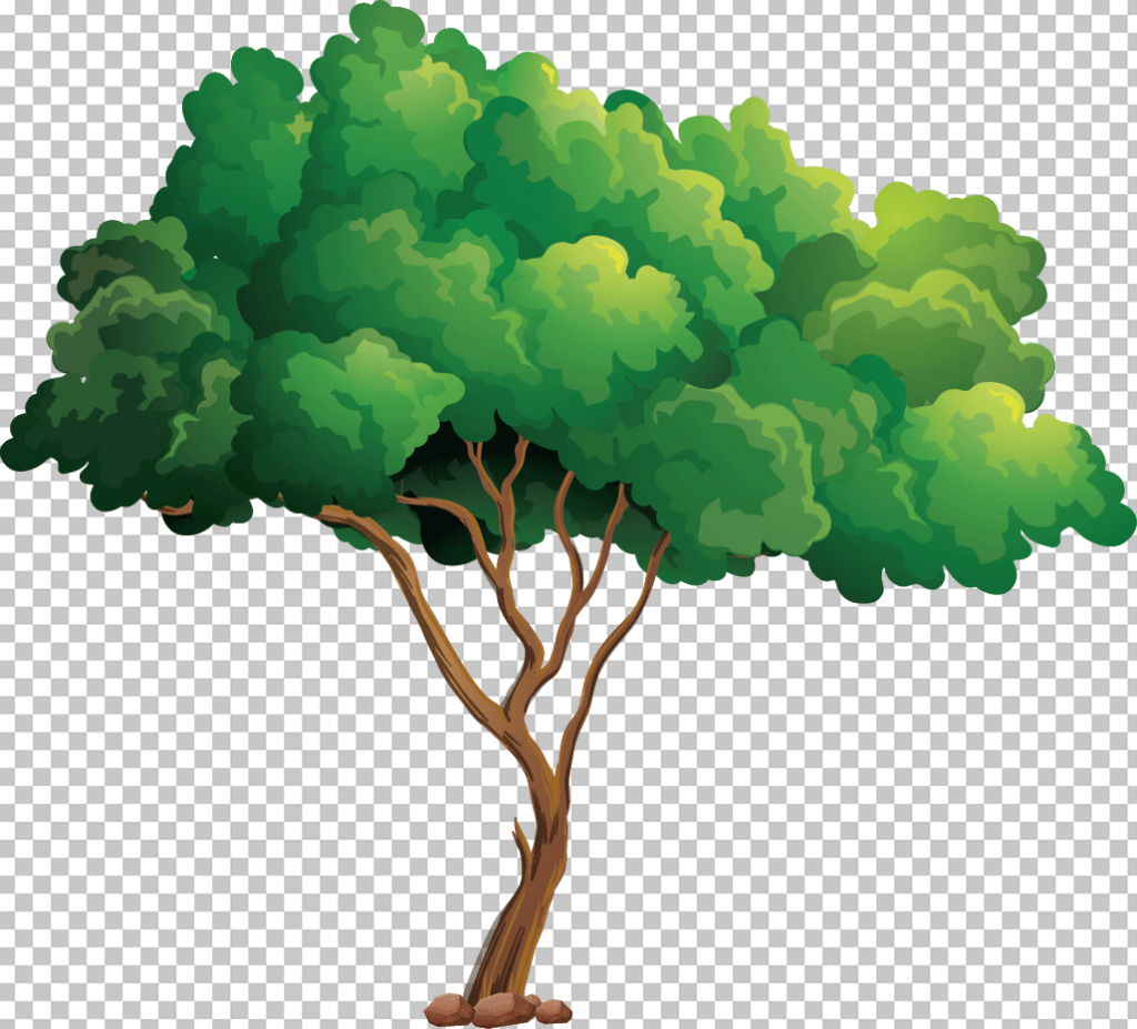 Green Tree png image