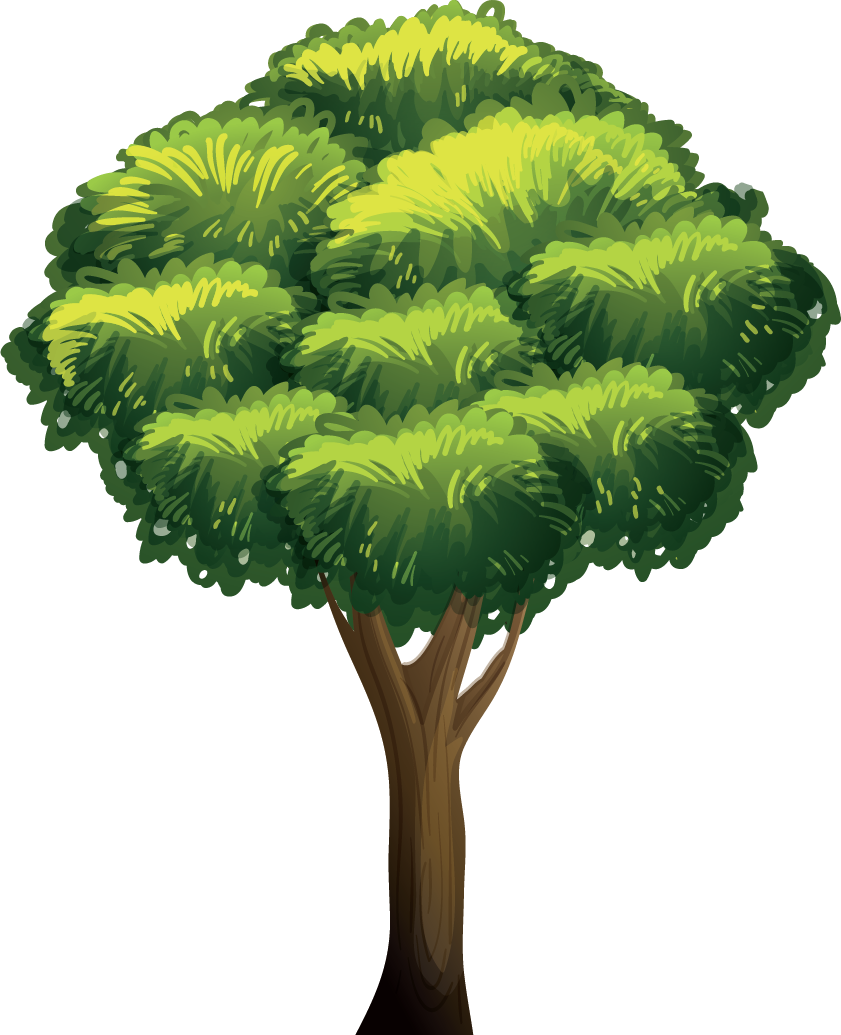 Tree png image | OngPng