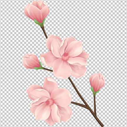 Pink cheery flowers png image