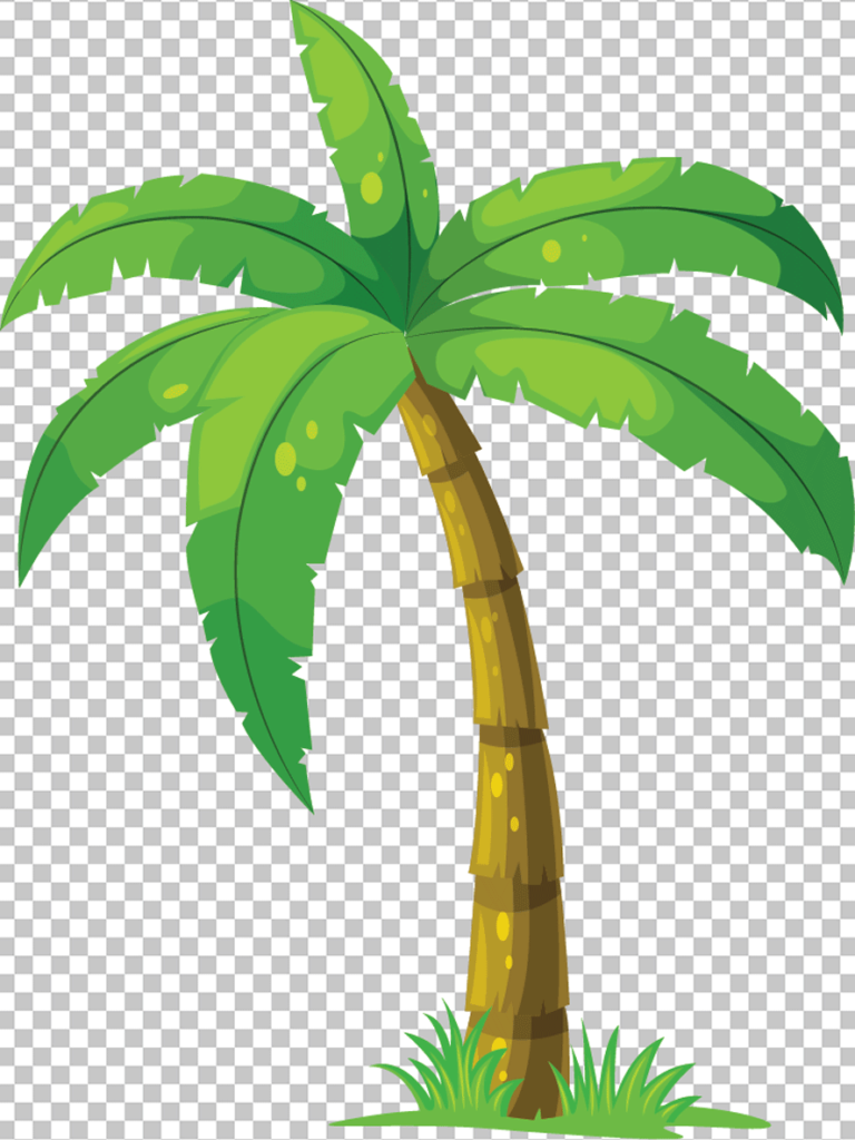 coconot tree png image