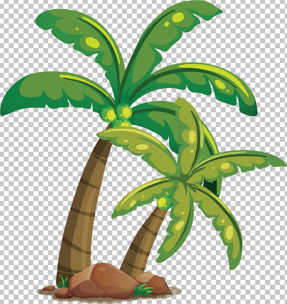 coconot tree png image