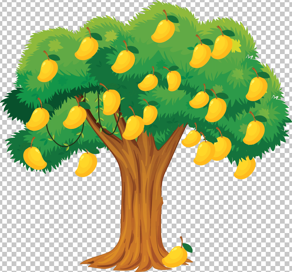 Mango tree png image