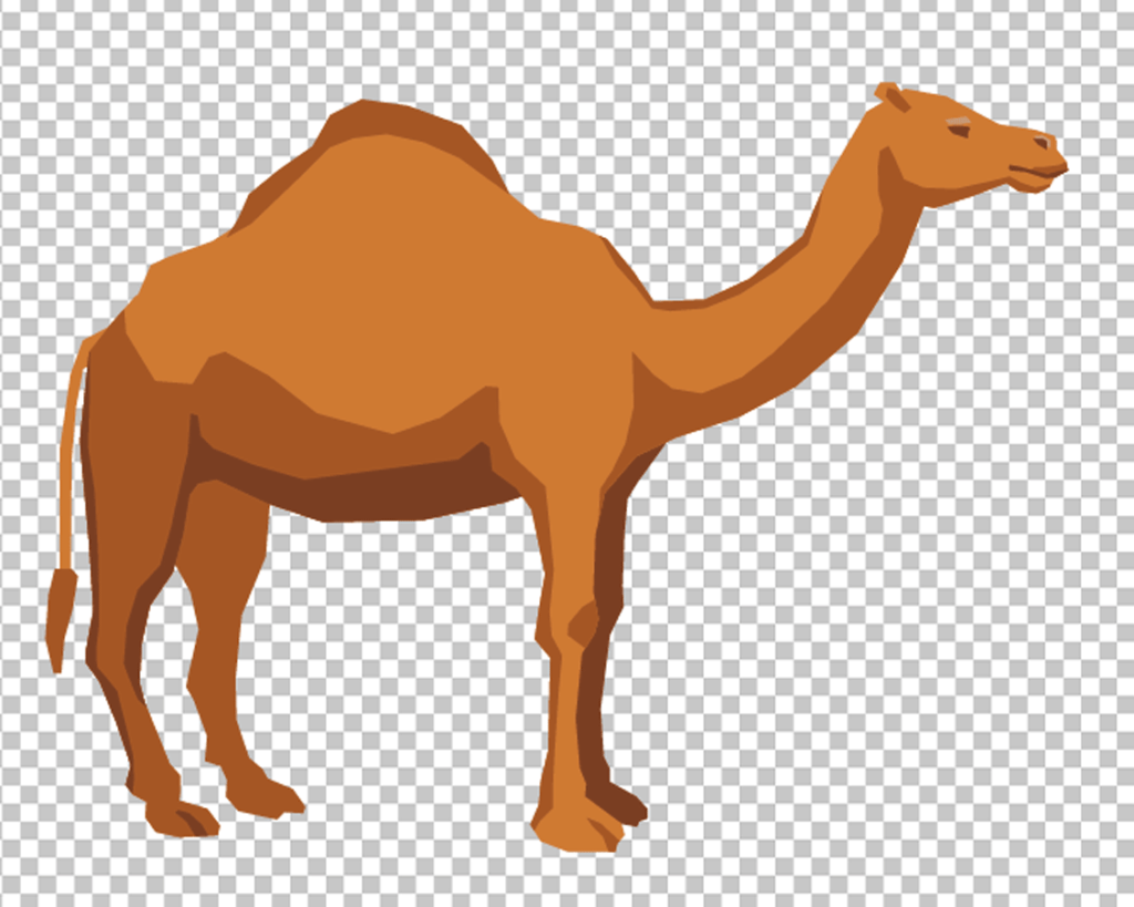 Cartoon Camel png image