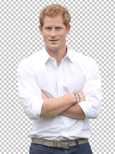 Prince Harry Folding hand and standing png image