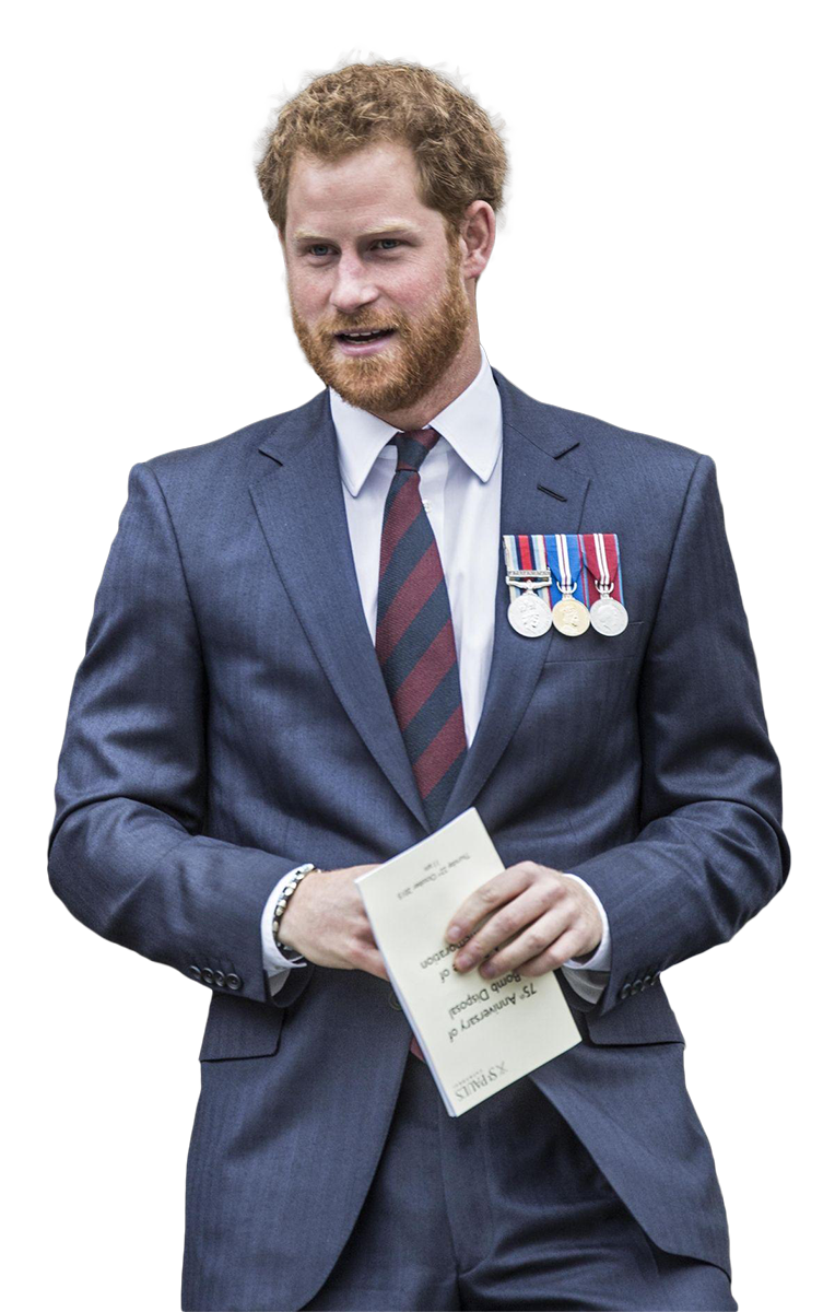Prince Harry in suit png image | OngPng