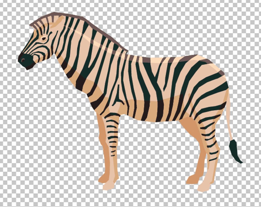 Cartoon Zebra png image