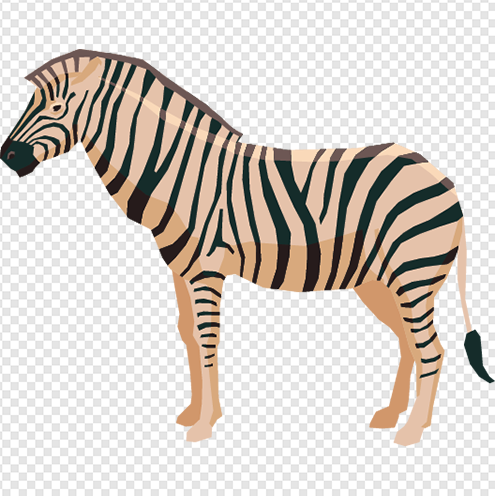 Carton Zebra png image