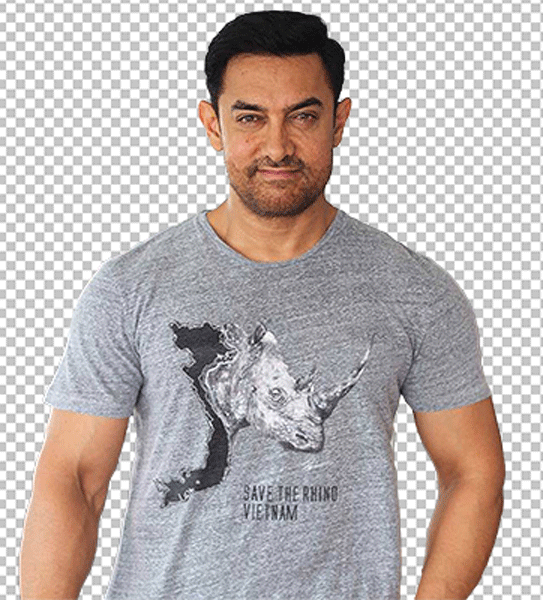 Amir Khan wearing gray t-shirt with a white rhinoceros on the front png image