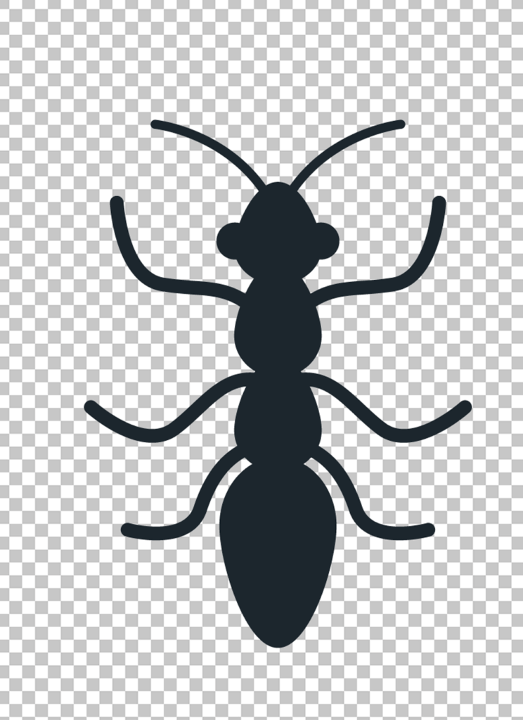 Ant Png image