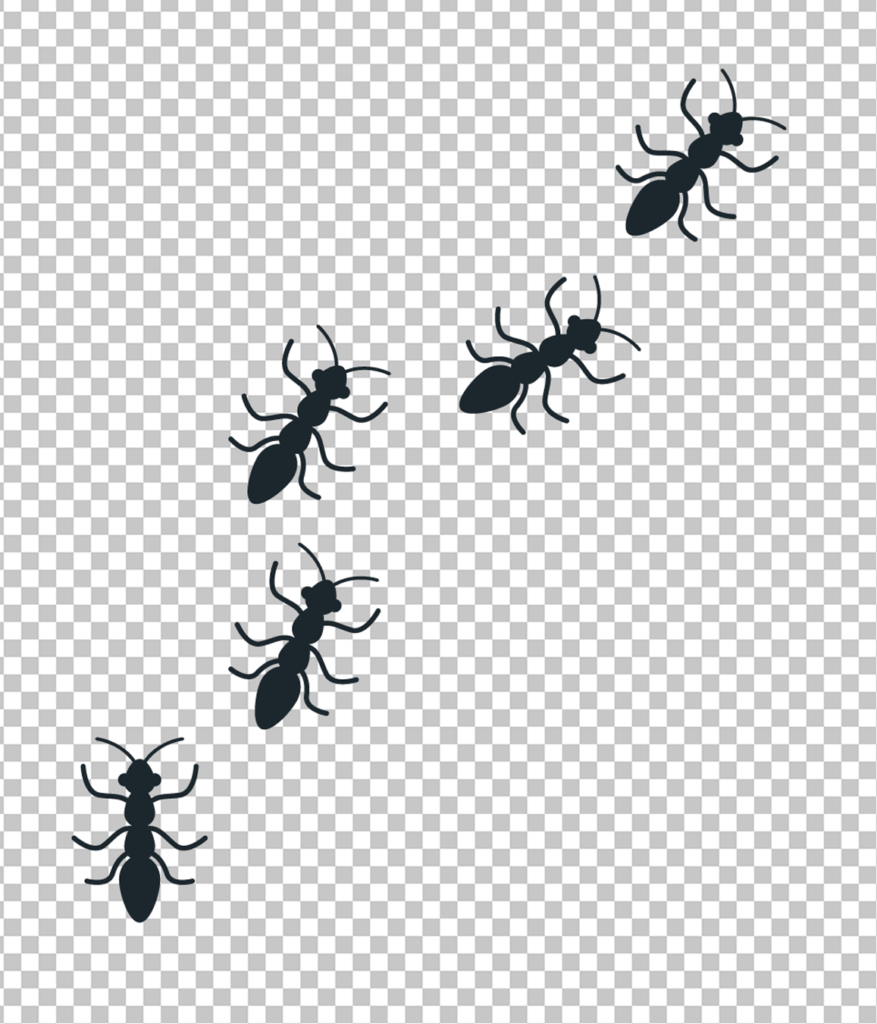 Group Ants Png image