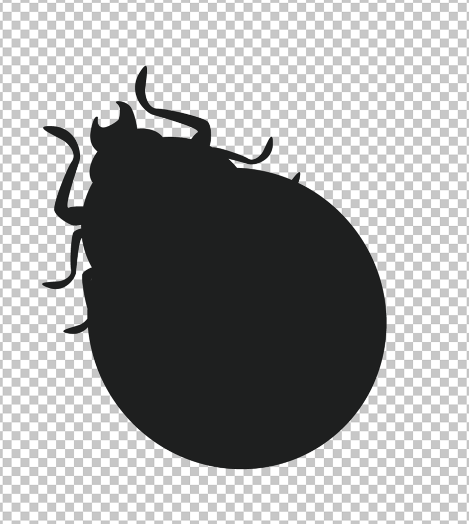 Black bedbug PNG image