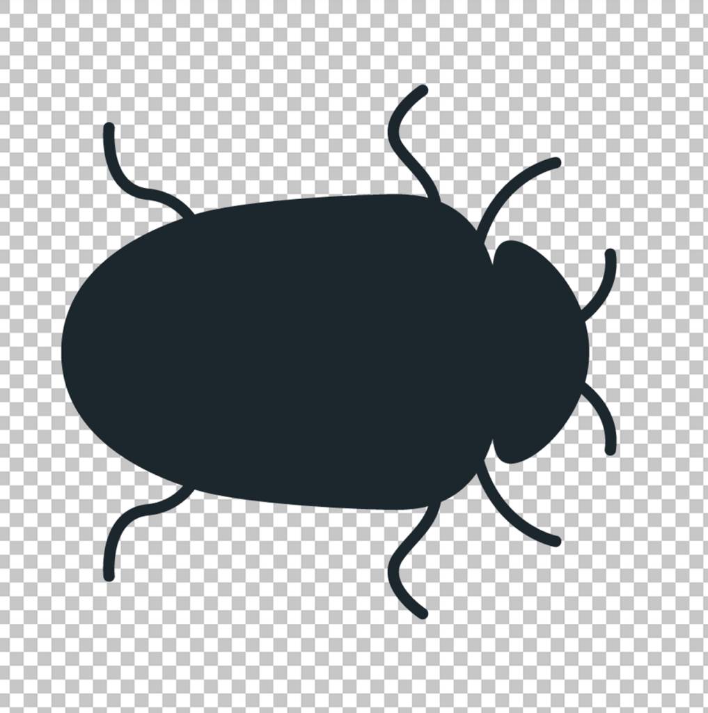 Black beetle PNG image