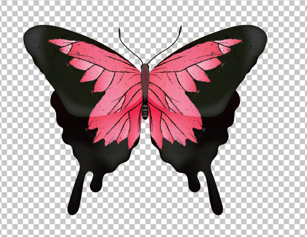 Cartoon Pink and Black Butterfly PNG image