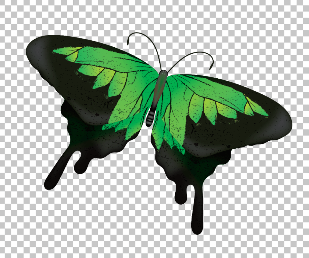 Green and Black Butterfly Png image