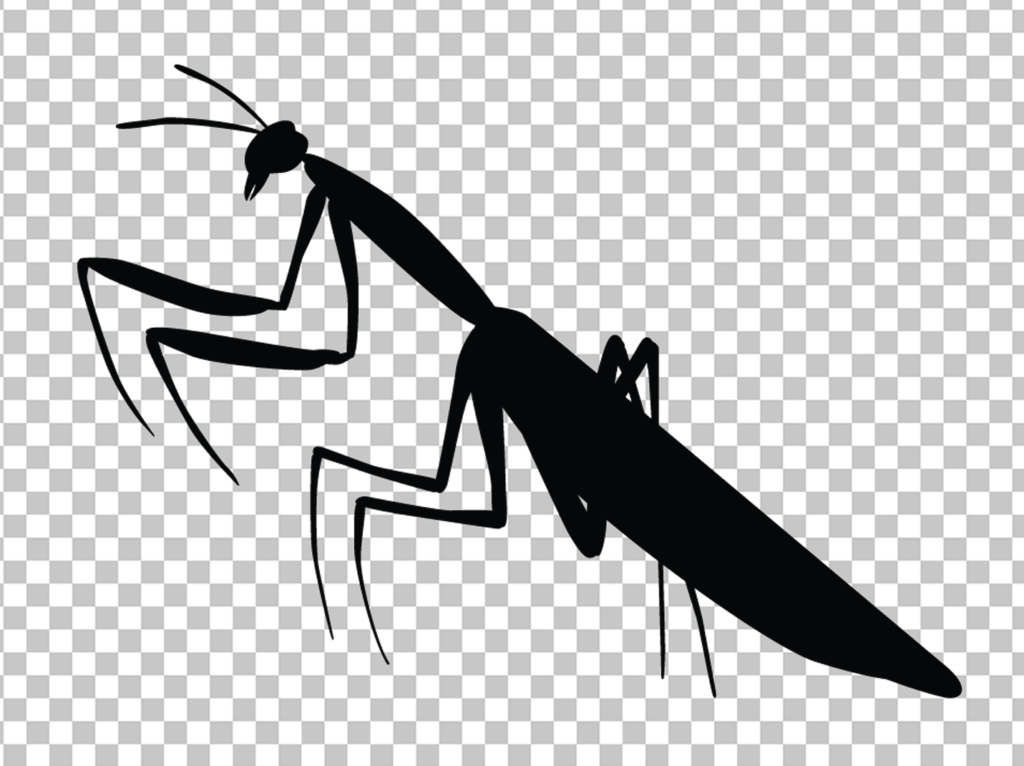 Black mantis Png image