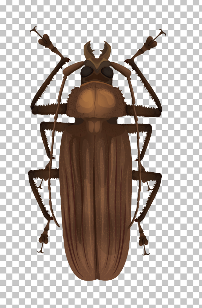 titan Beetle Png image