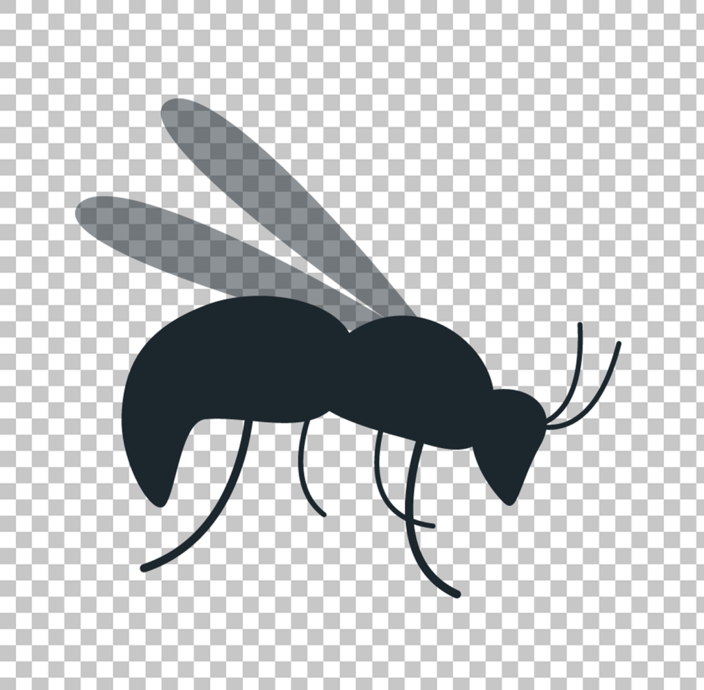 Black wasp Png image