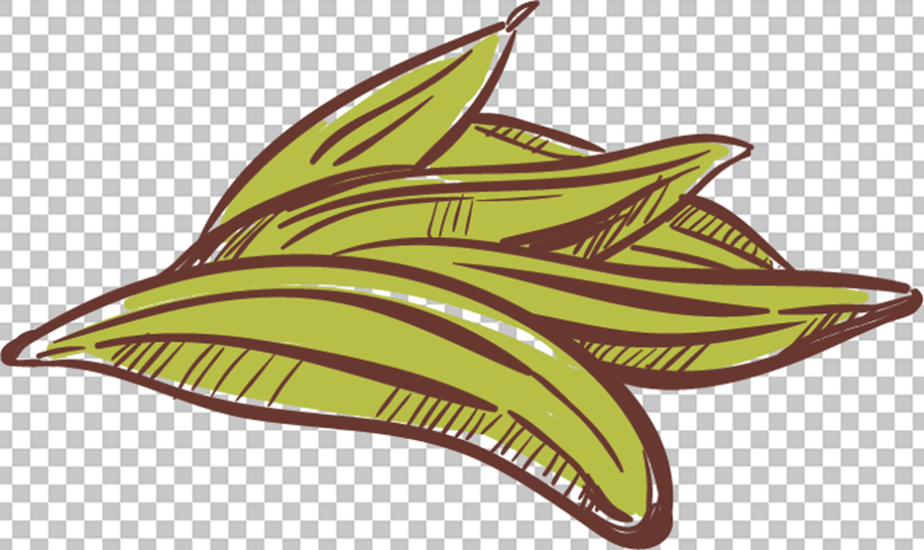 Bay leaf PNG image