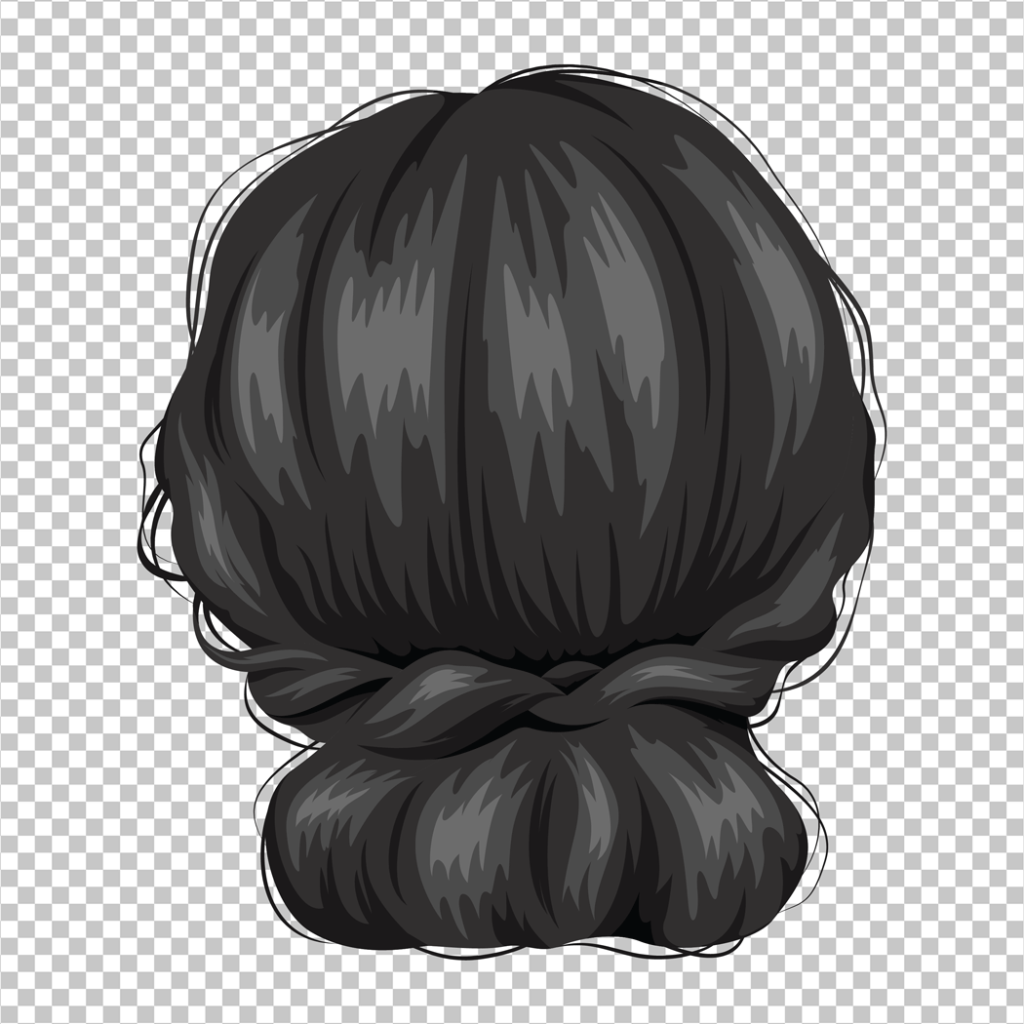 Bun Hairstyle PNG Image