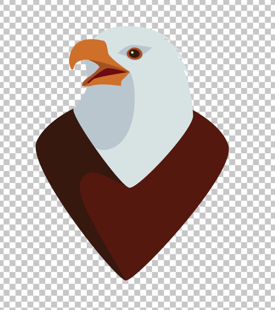 Cartoon Drawing of Bald Eagle Head on Transparent Background