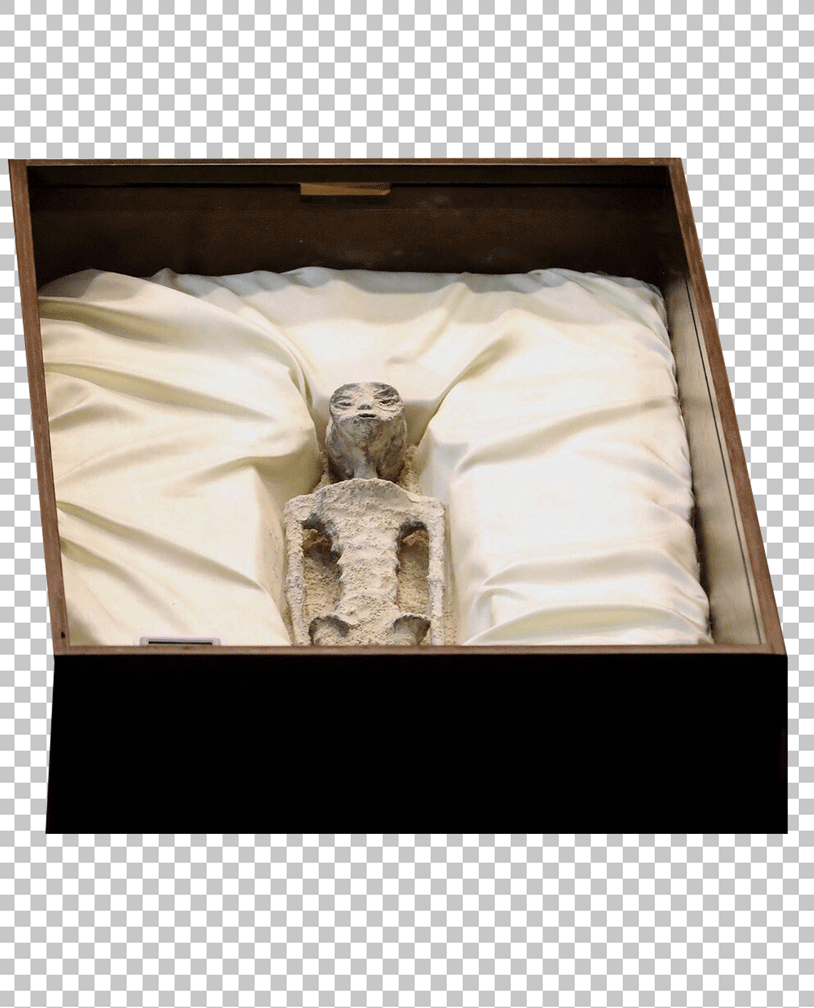 Alien Skeleton in a Box in Mexico.