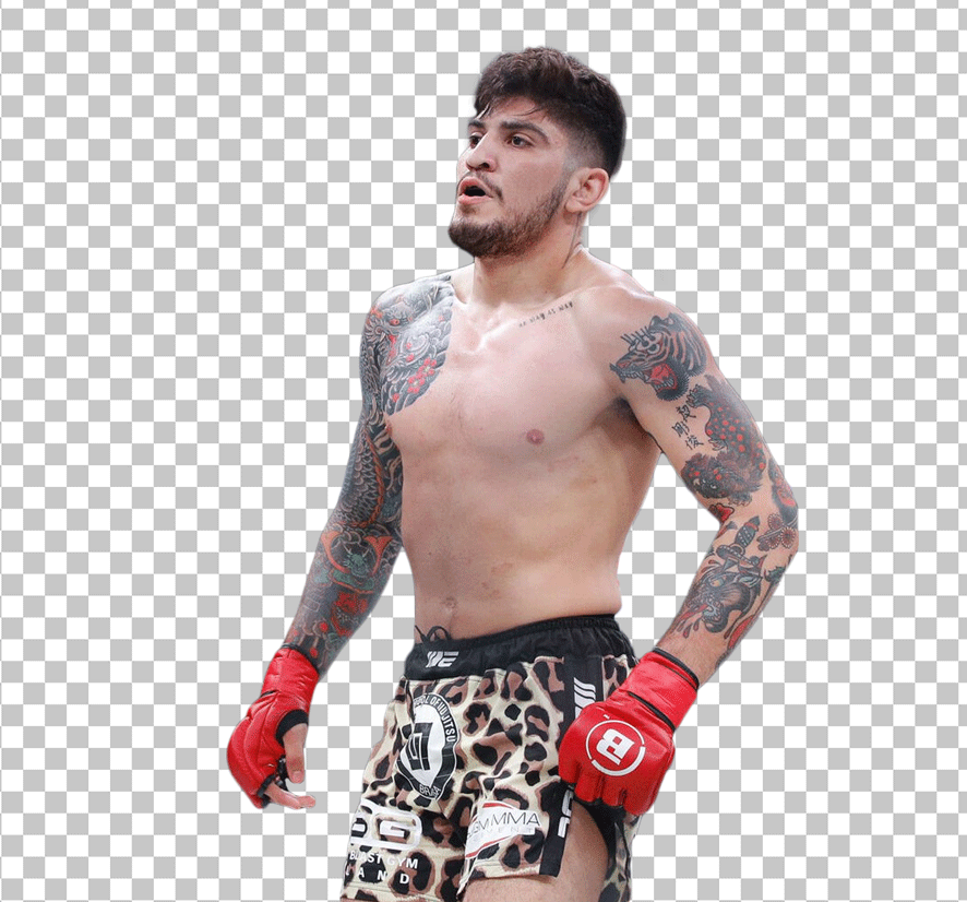 Dillon Danis MMA PNG Image
