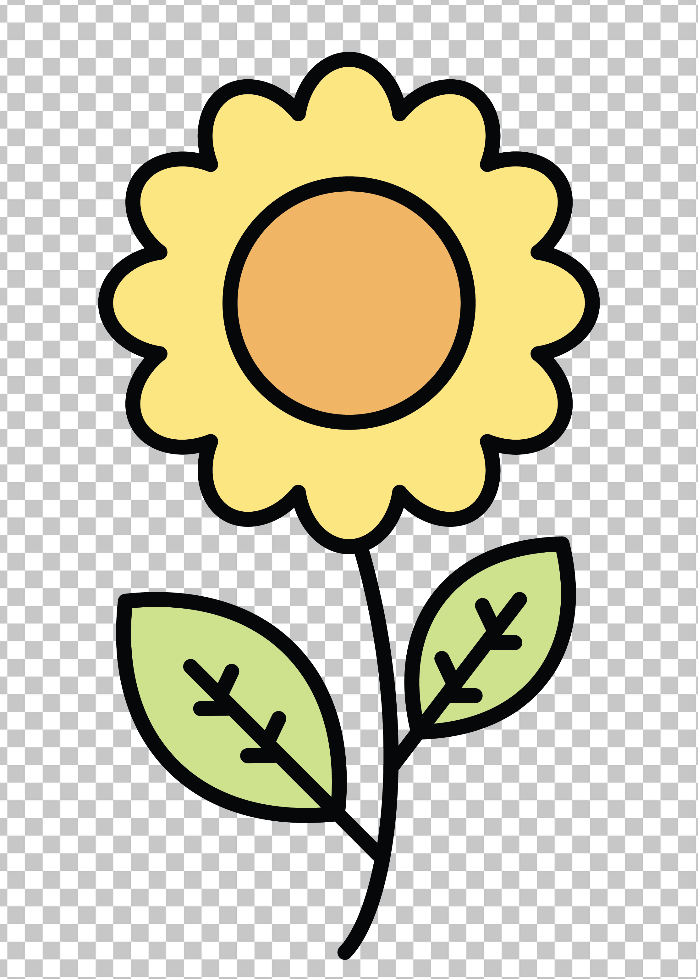 Yellow sunflower with leaves on transparent background