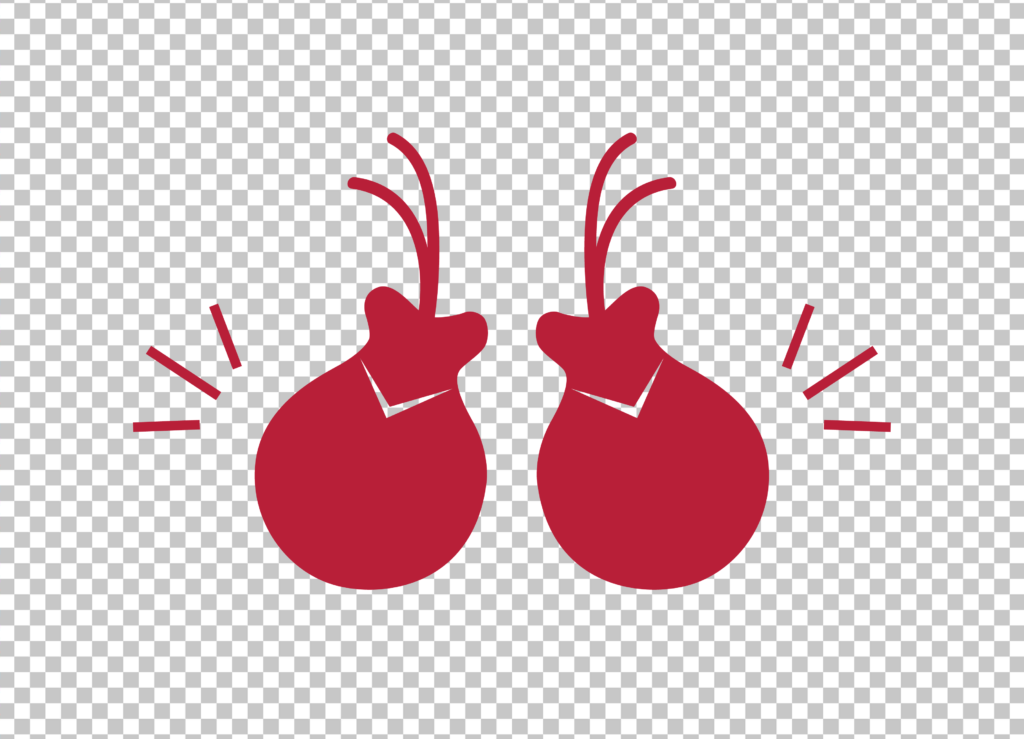 A pair of red castanets on a transparent background.