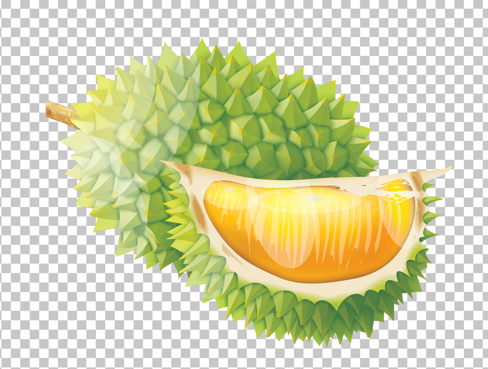 A green durian with yellow flesh on a transparent background.