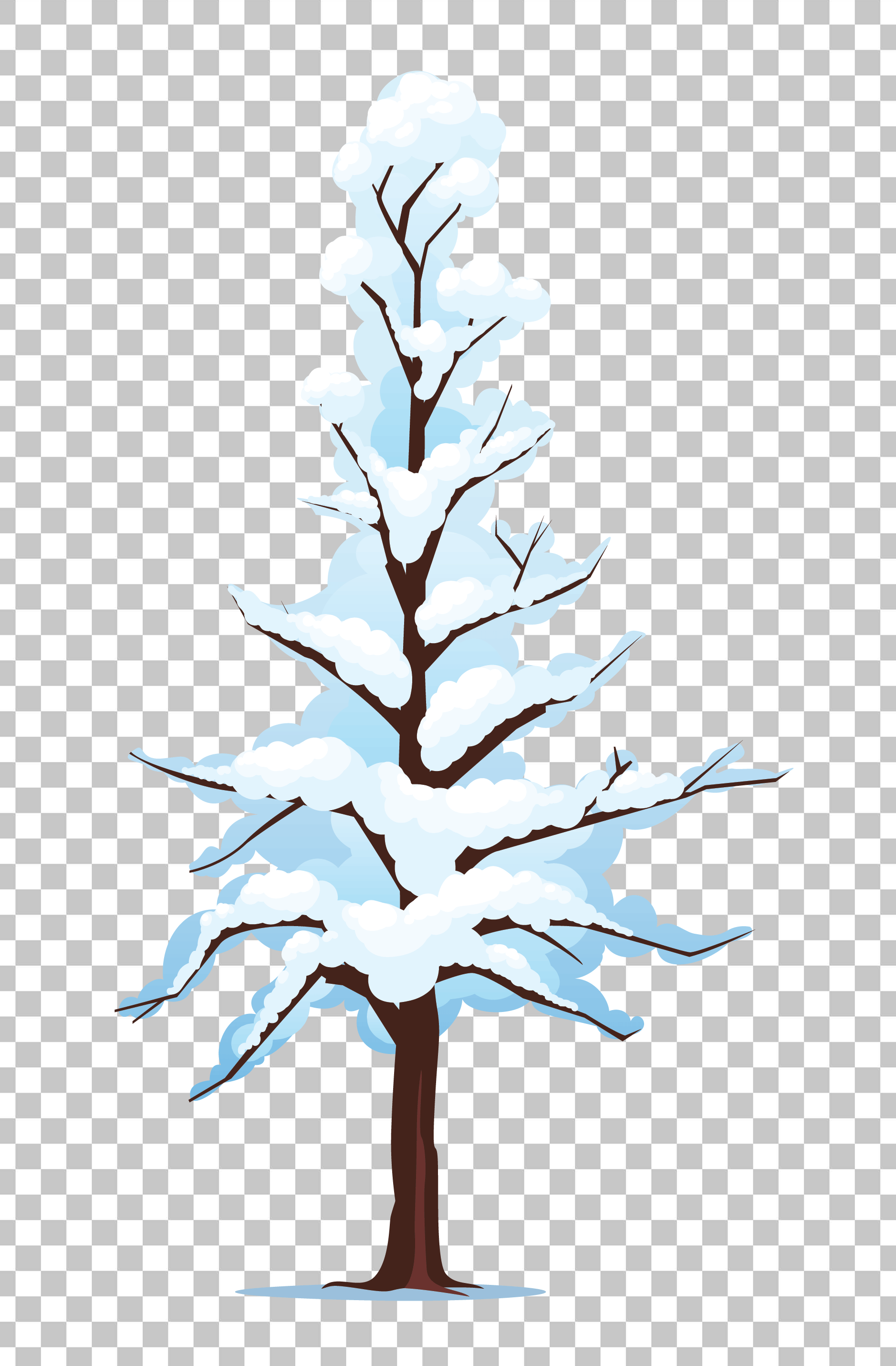 Snow Covered Pine Tree PNG Image