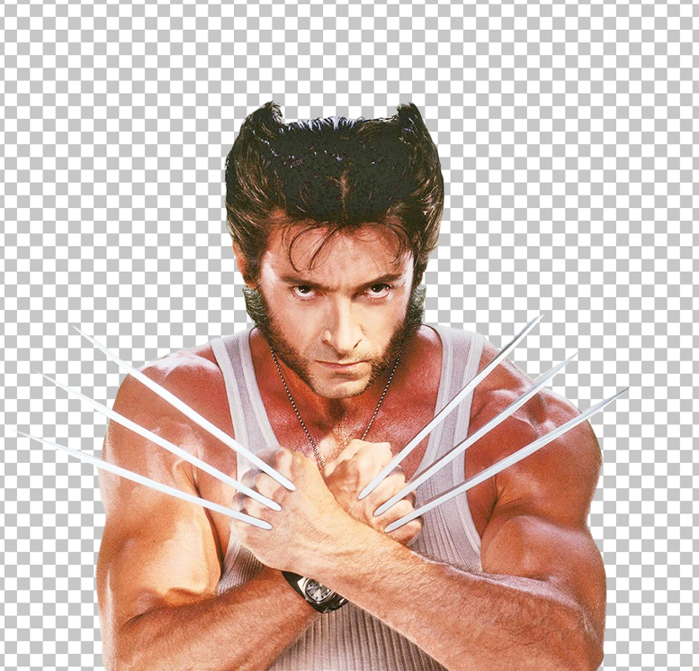 Classic Hugh Jackman Wolverine PNG Image