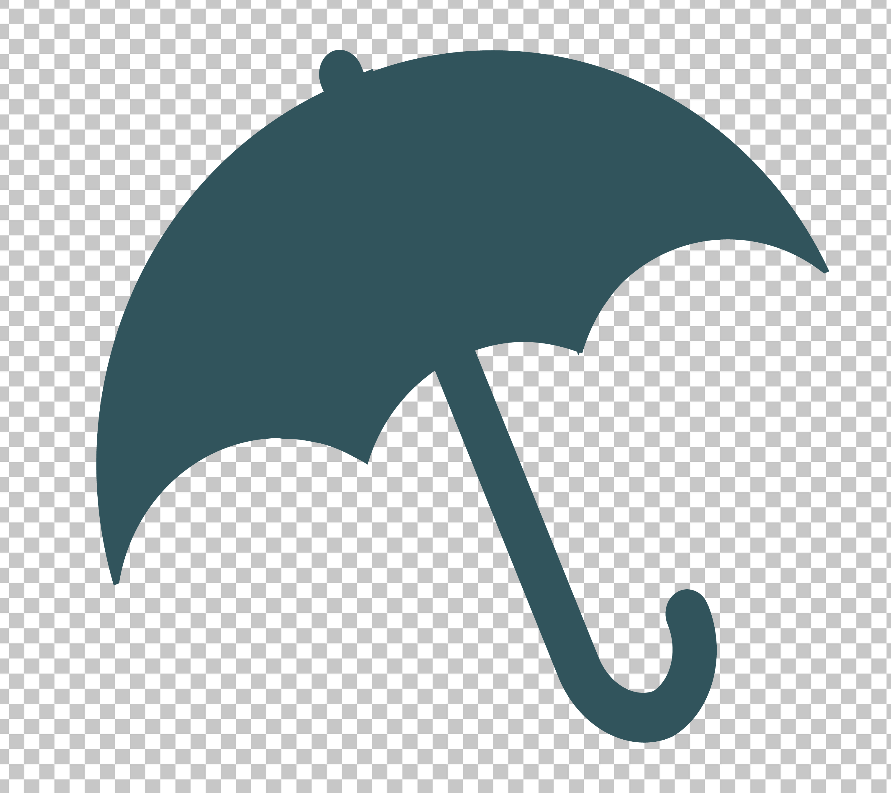 Umbrella icon PNG Image