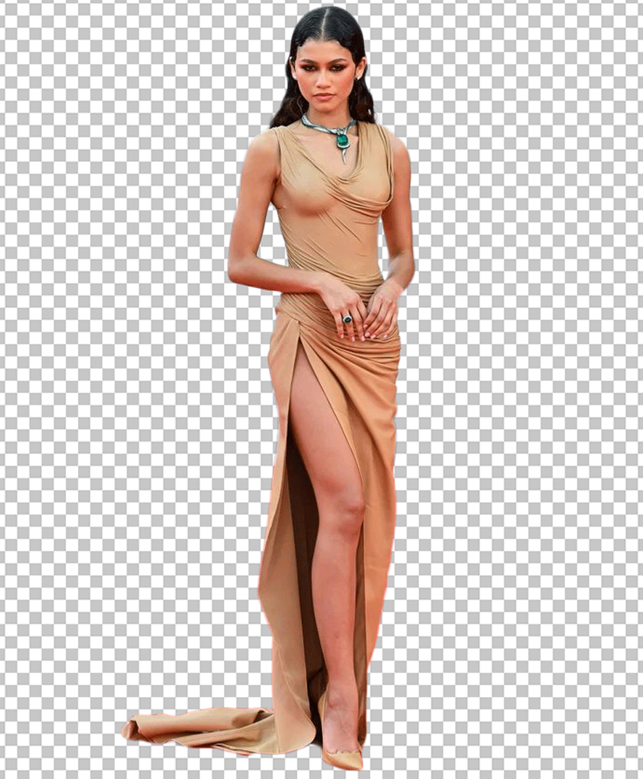 zendaya in beautiful dress png image