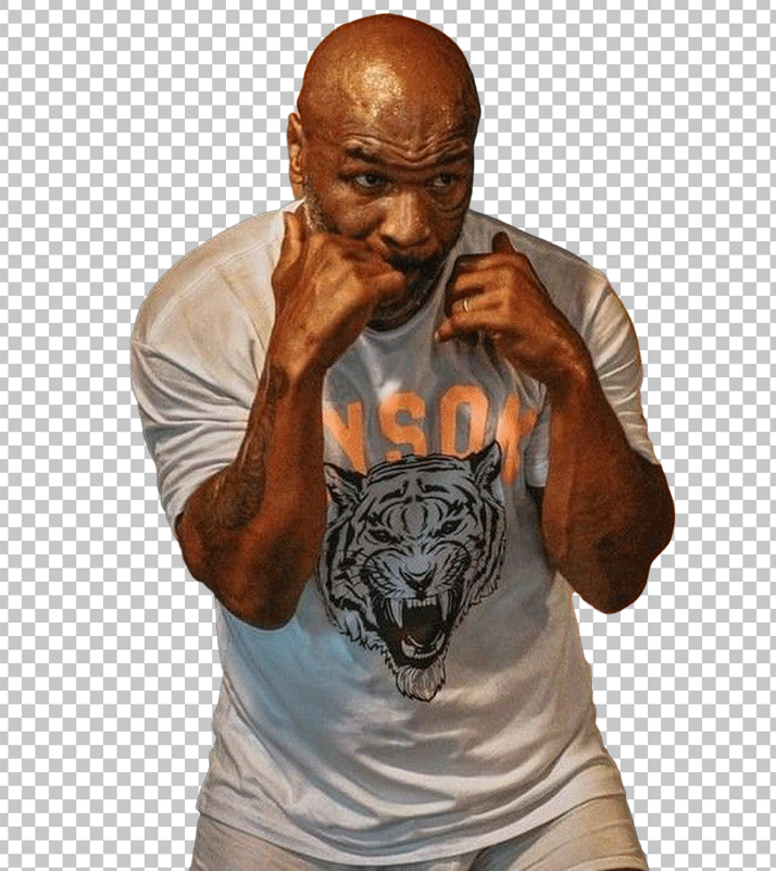 Mike Tyson boxing stance PNG Image